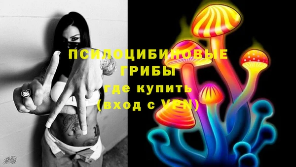 ГАЛЛЮЦИНОГЕННЫЕ ГРИБЫ Абинск