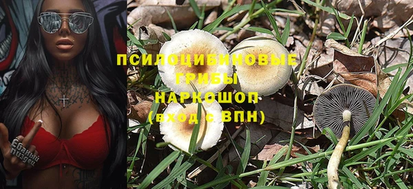 ГАЛЛЮЦИНОГЕННЫЕ ГРИБЫ Абинск