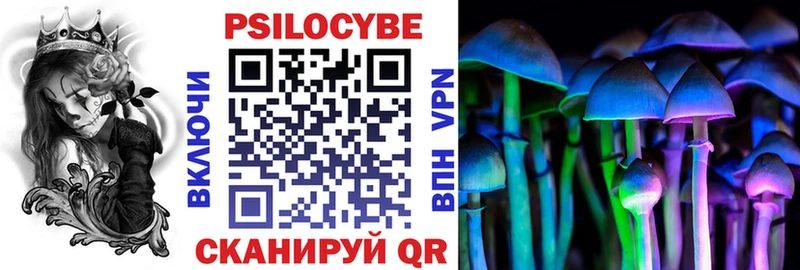 наркотики  Карталы  Псилоцибиновые грибы Psilocybe 