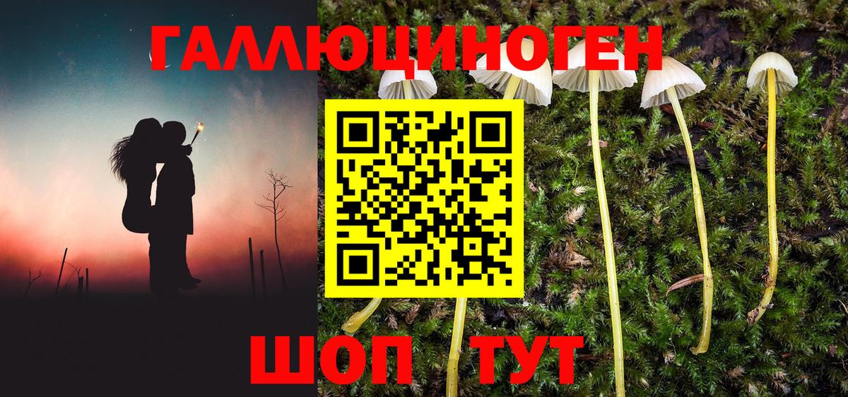 Галлюциногенные грибы Psilocybine cubensis Карталы